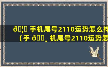 🦟 手机尾号2110运势怎么样（手 🕸 机尾号2110运势怎么样）